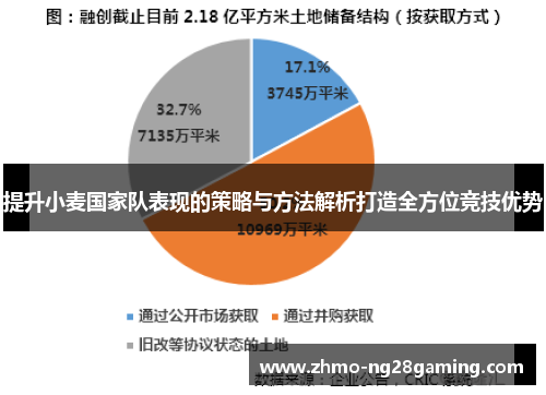 提升小麦国家队表现的策略与方法解析打造全方位竞技优势