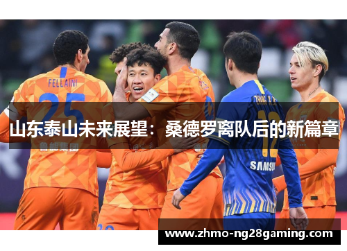 山东泰山未来展望：桑德罗离队后的新篇章