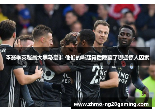 本赛季英超最大黑马是谁 他们的崛起背后隐藏了哪些惊人因素