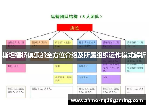 斯坦福桥俱乐部全方位介绍及所属组织运作模式解析