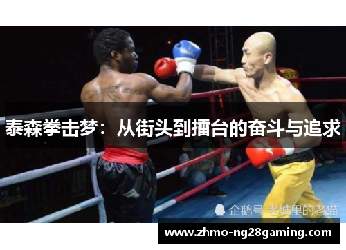 泰森拳击梦：从街头到擂台的奋斗与追求