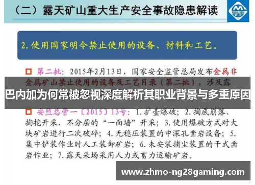 巴内加为何常被忽视深度解析其职业背景与多重原因