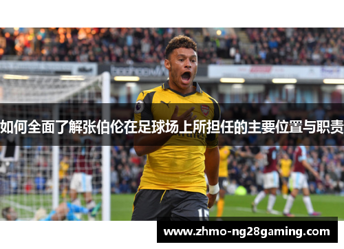 如何全面了解张伯伦在足球场上所担任的主要位置与职责