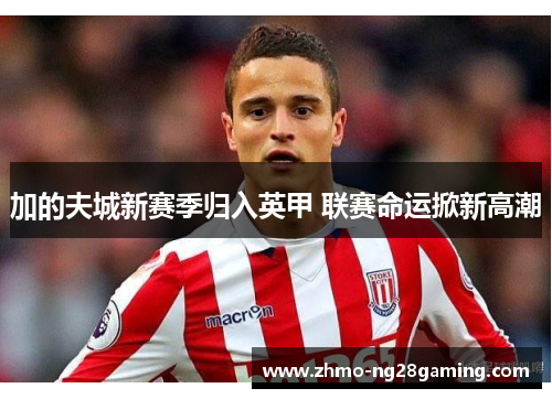 加的夫城新赛季归入英甲 联赛命运掀新高潮