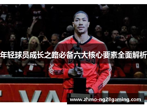 年轻球员成长之路必备六大核心要素全面解析 年轻球员成长之路必备六大核心要素全面解析