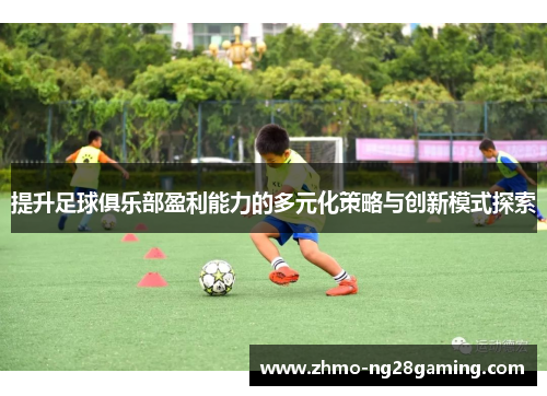 提升足球俱乐部盈利能力的多元化策略与创新模式探索 提升足球俱乐部盈利能力的多元化策略与创新模式探索