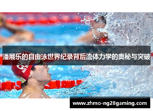 潘展乐的自由泳世界纪录背后流体力学的奥秘与突破