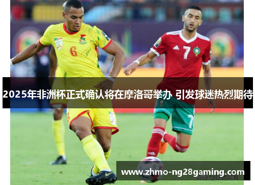 2025年非洲杯正式确认将在摩洛哥举办 引发球迷热烈期待