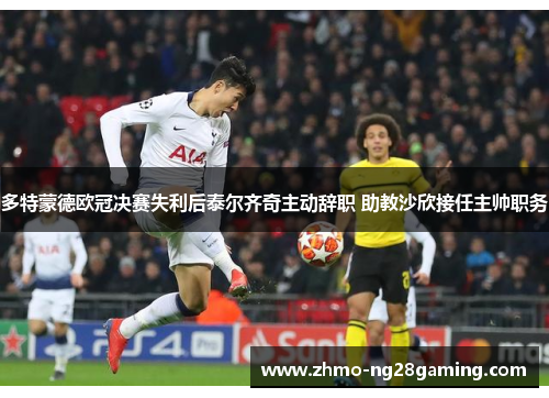多特蒙德欧冠决赛失利后泰尔齐奇主动辞职 助教沙欣接任主帅职务 多特蒙德欧冠决赛失利后泰尔齐奇主动辞职 助教沙欣接任主帅职务