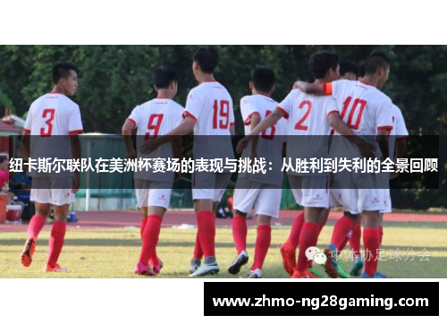 纽卡斯尔联队在美洲杯赛场的表现与挑战：从胜利到失利的全景回顾