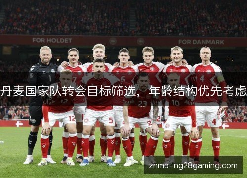 丹麦国家队转会目标筛选，年龄结构优先考虑