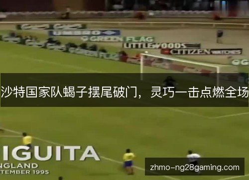 沙特国家队蝎子摆尾破门，灵巧一击点燃全场